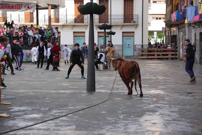 Soka zintzilik eta muturrak  11 1646140690919