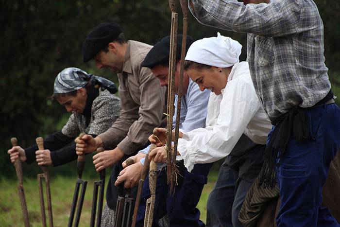 ADUNAKO KULTUR ASTEA 2017. G 34 1511018045091