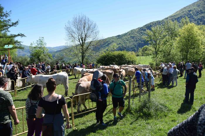 Larrerati dituzte abereak Ar 21 1556716272049