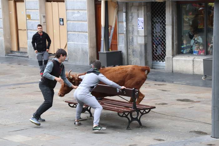 Zezenaren aurrean korrika 21 1551703652884