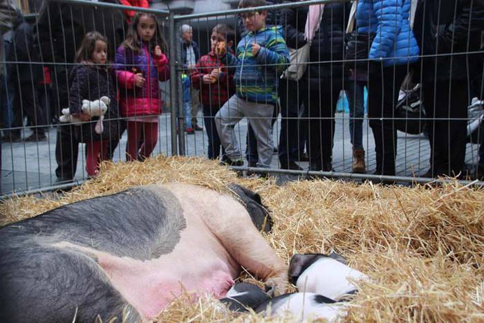 Tolosako Gabonetako azoka be 46 1514054243497