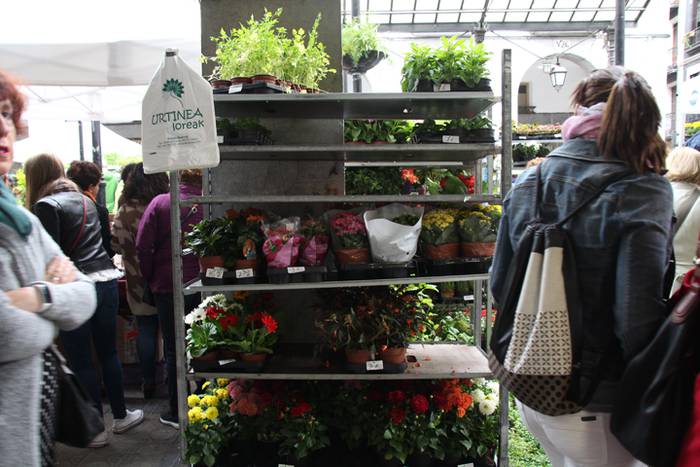 Eta liliek Tolosa ere amets 22 1495290320966