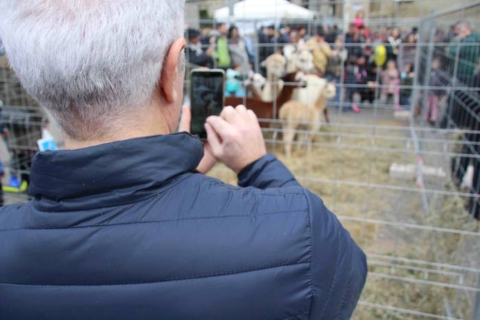 Tolosako Gabonetako Azoka Berezia 2018 59 1545489457444