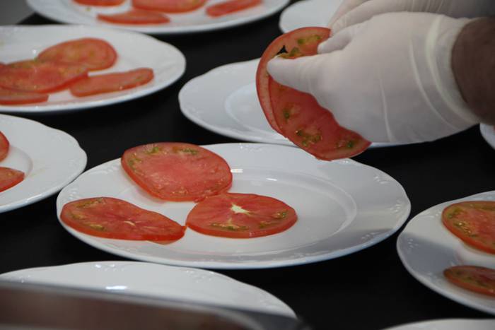 Kostaldea Tolosara ekarrita 9 1496494107279