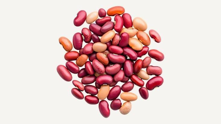 Babarrun bertso bazkaria