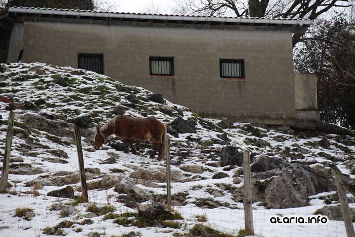 lehen elurtea 2016 15 1455547617269