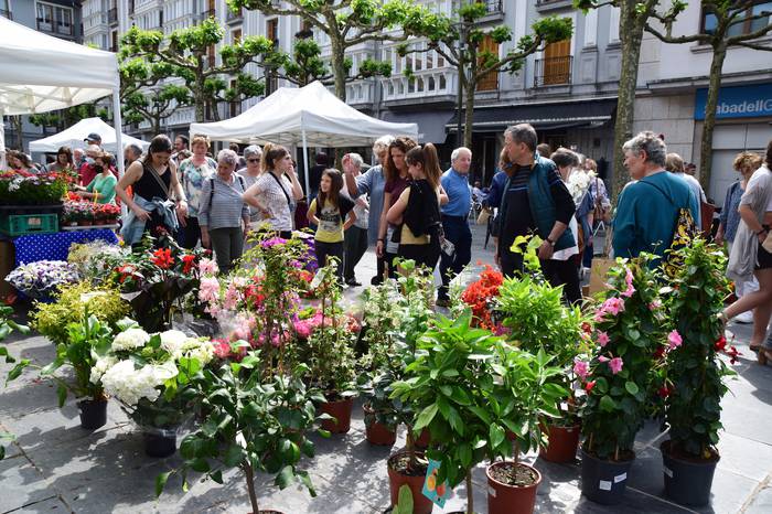 Lore eta Landare azoka Tolos 41 1652529032777