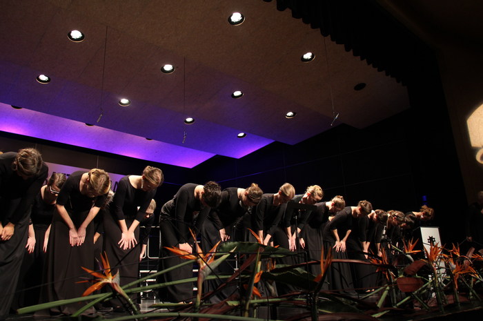 Ahots europarrak, lehiaketak 13 1509654625986