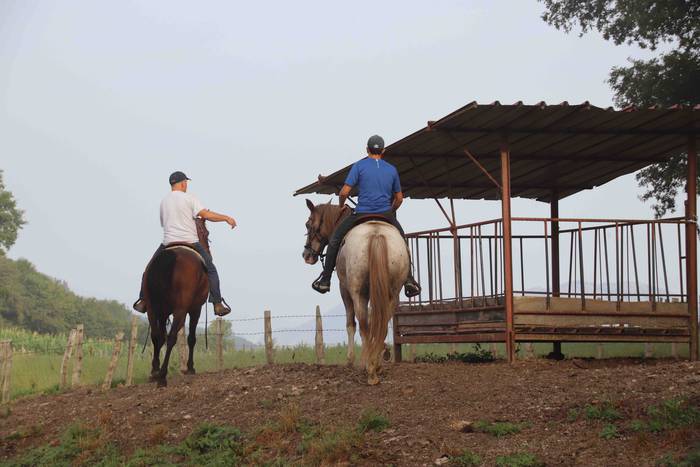 Mendi bizikleta lasterketare 71 1660377650903