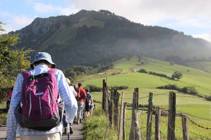 2016 bidea 26 1471775935541