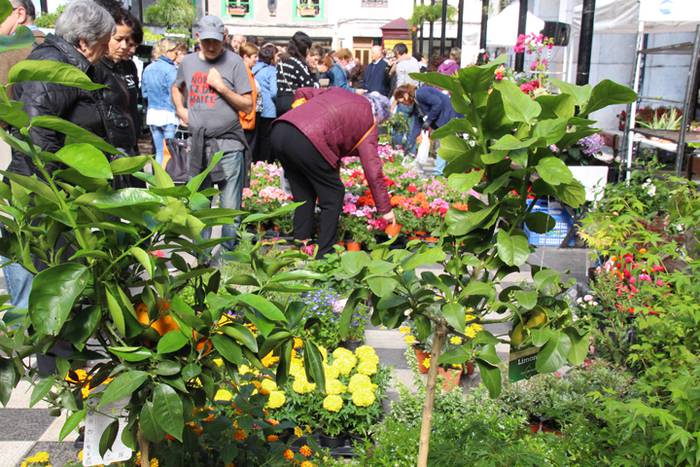 Udaberria loratu da Tolosan 10 1526734046510