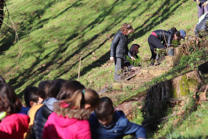 Tolosako ikasleek zuhaitzak  30 1520435610152