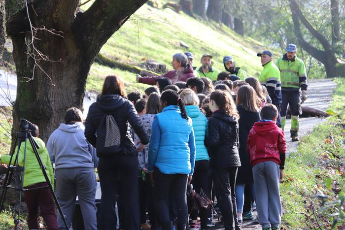 Tolosako ikasleek zuhaitzak  5 1520435442232