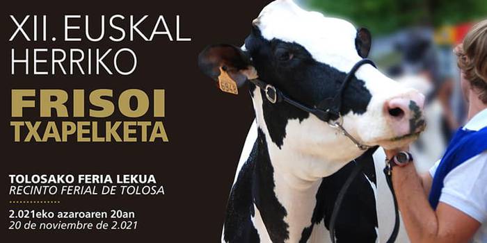 XII. Euskal Herriko Frisoi Txapelketa