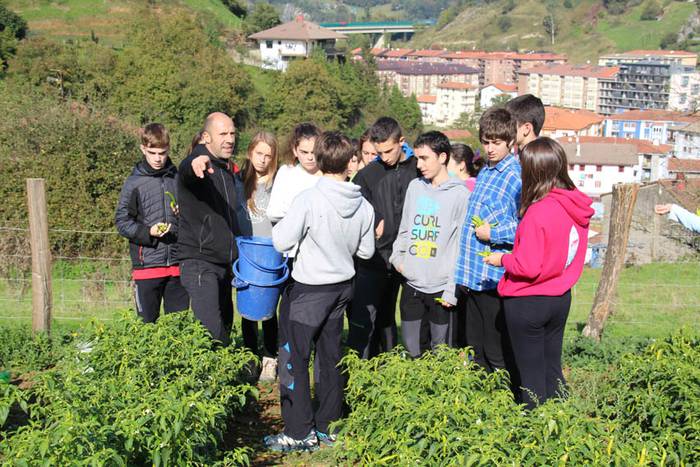 Piperraren zikloa 2015 7 1445442212968