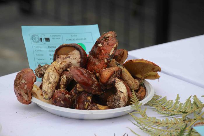 mikologika 2018 azoka pintxo 12 1540038193824