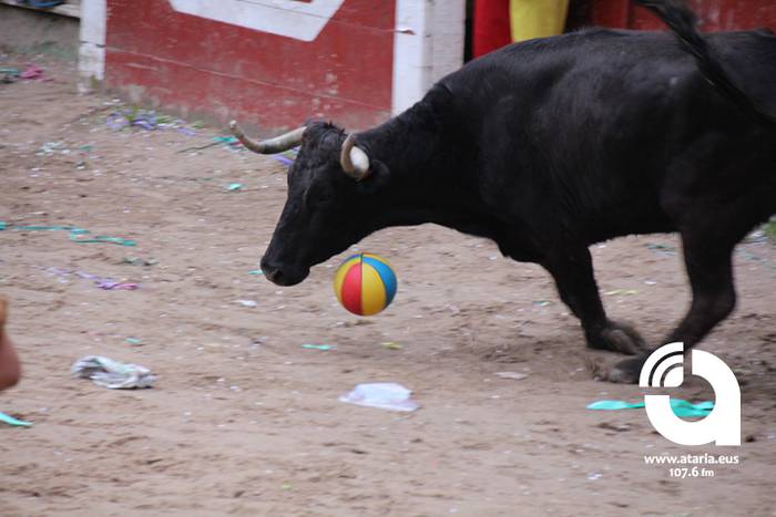 Zezenak adarrak okerrak ditu 30 1488277328620