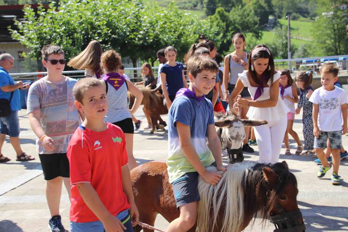 Festak hasteko, poniak eta z 24 1566993982213