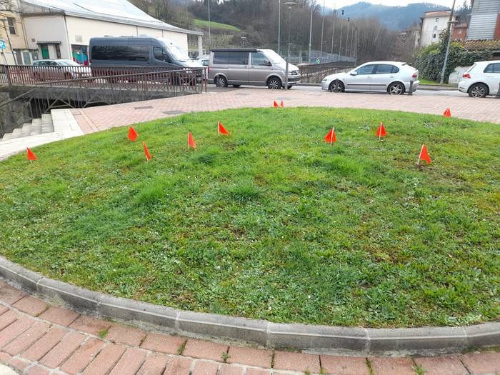 Jaso gabeko txakurren kakak banderatxoekin seinalatuko ditu Alegiako Udalak