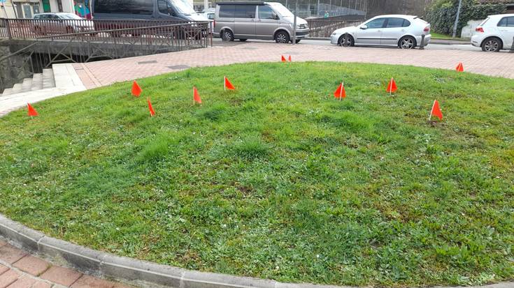 Jaso gabeko txakurren kakak banderatxoekin seinalatuko ditu Alegiako Udalak