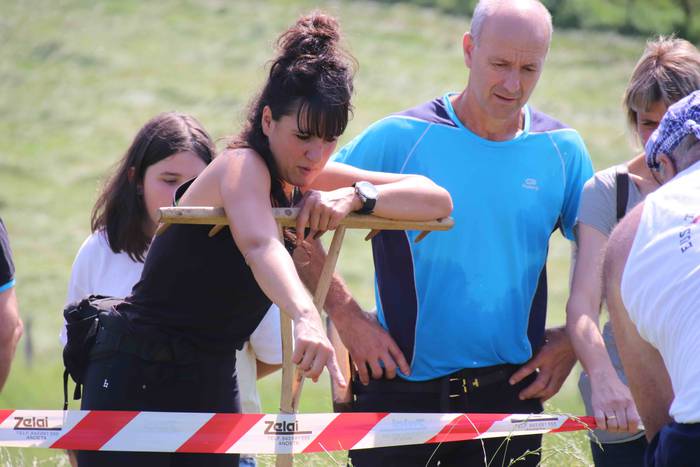 Erabaki dira Euskal Herriko  53 1532870565482