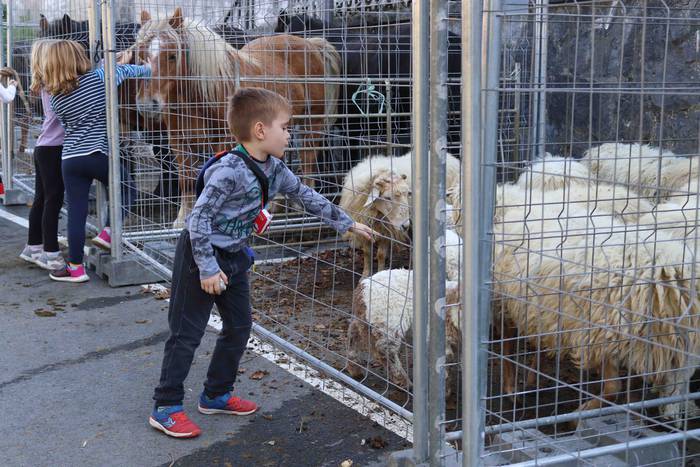 Zer ikusi izan da Bedaion 25 1668343707920