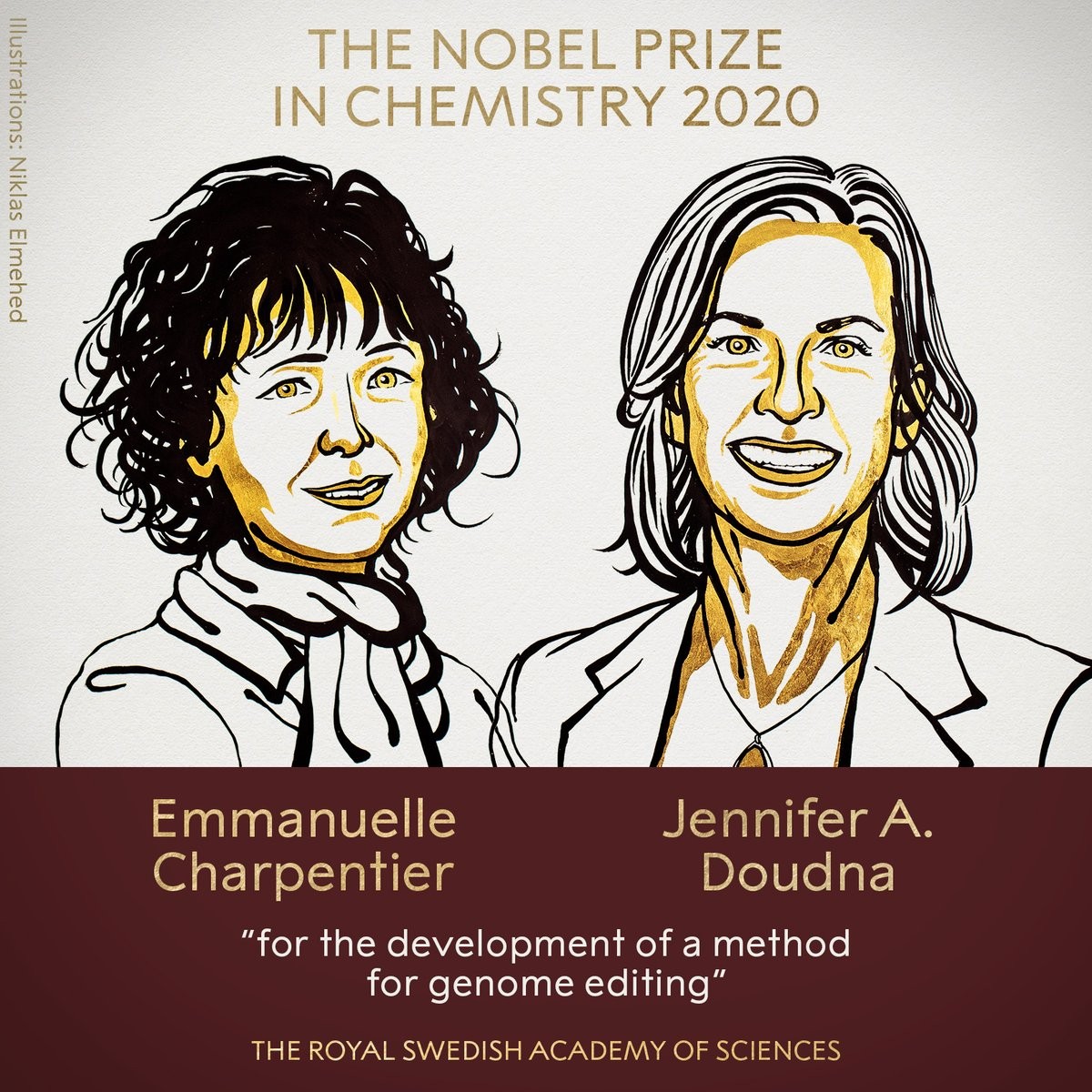 CRISP-Cas9 (edo Jennifer eta Emmanuelle)