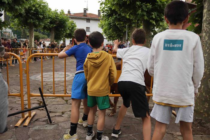 Zezen txikien aurretik 5 1656263612604