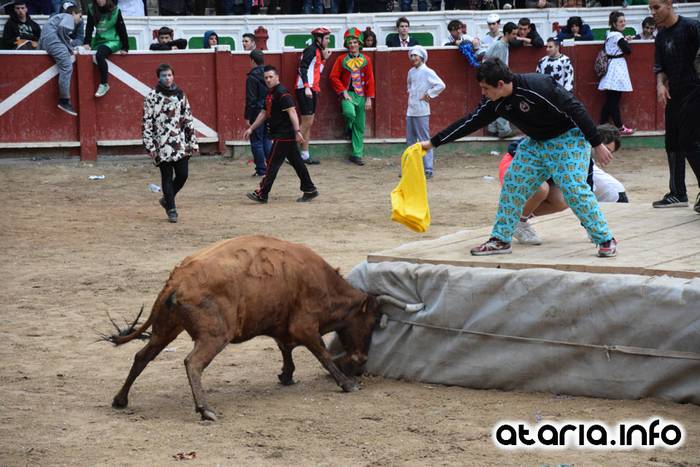 Pattar zezena 2016 48 1455012400957