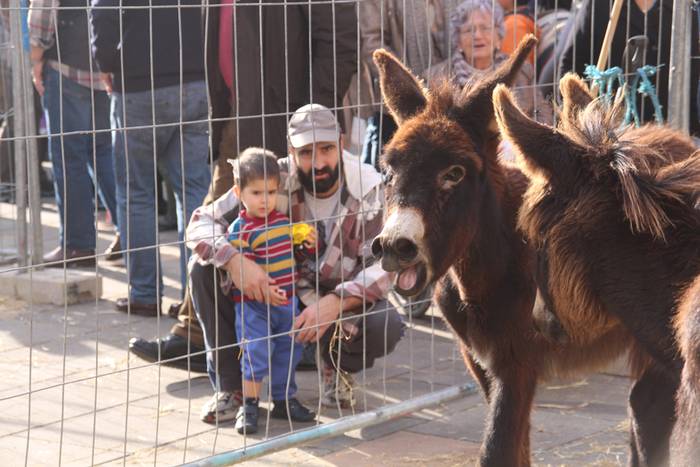 Tolosa Gabonetako Azoka berezia 2015 17 1450532619063