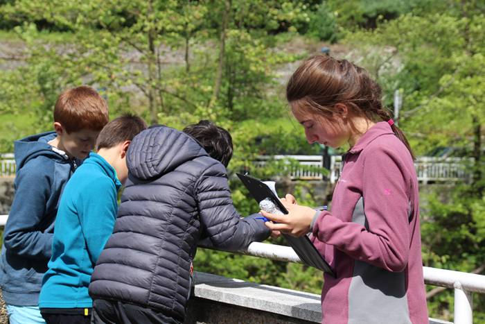 Espezia inbaditzaileak 10 1494600464045