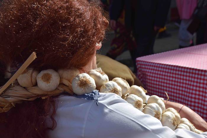 Zaldunita 2019. Karrozak eta 68 1551627144686