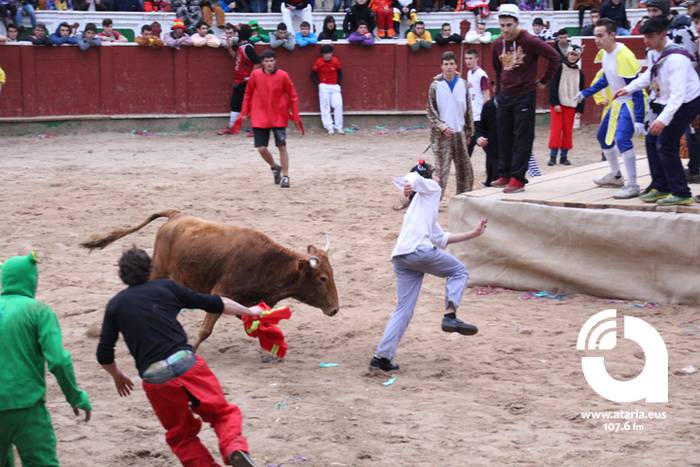 Zezenak adarrak okerrak ditu 40 1488277383909