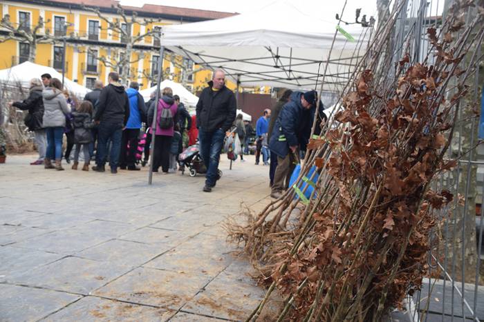 Zuhaitz Azoka, Tolosa, 2017 3 1486819579379