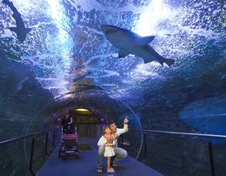 AQUARIUM-ERAKO SARRERAK