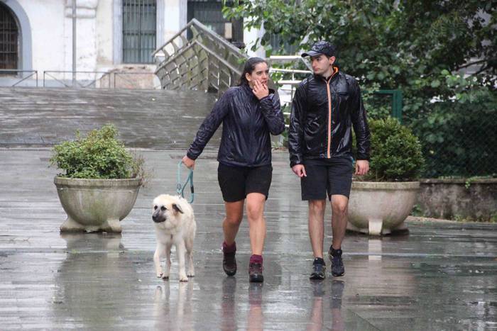 Lizartzako Mendiz Mendi prob 34 1664029368088