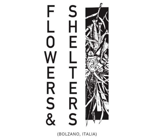 Kontzertua: Flowers & Shelters (Italia)