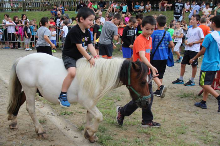 Zezenen aurretik, korrika 7 1469619515310