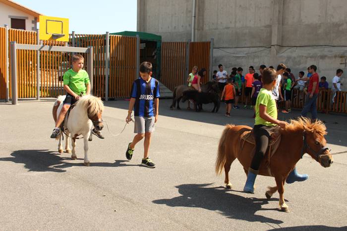 Hernialdeko Jaiak 2017 29 1502714659626