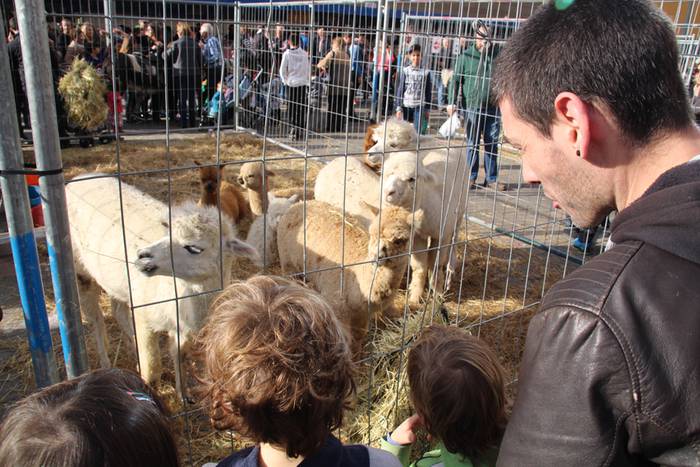 Tolosa Gabonetako Azoka berezia 2015 26 1450532622744