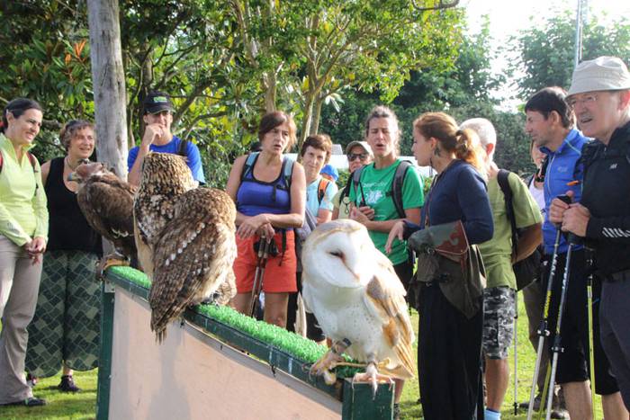 2016 bidea 23 1471775907250