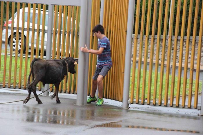 hernialde festak puzgarriak  42 1534160587726