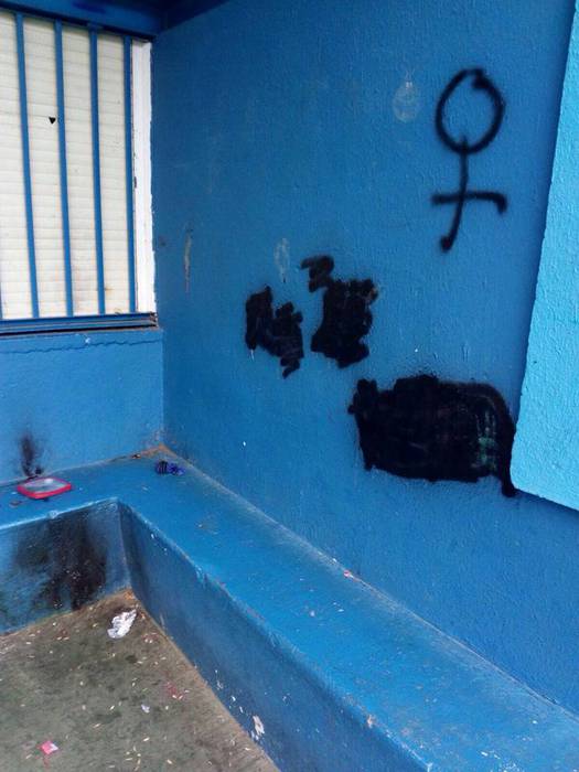 Samaniego pintaketak 4 1498731734889