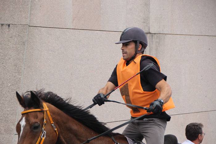 Zaldi gainean lasterka Abalt 26 1498413170361