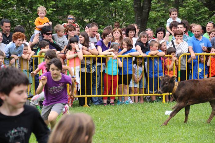 Eskola txiki eguna Ikaztegieta 67 1465750690827