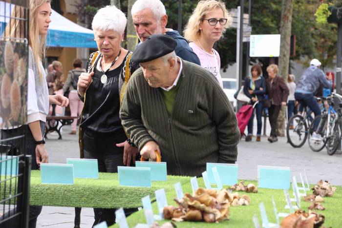 5.000 kilo txanpinoi saltsan 5 1571486530946