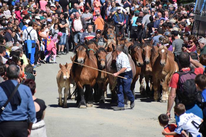 Larrerati dituzte abereak Ar 45 1556716312745