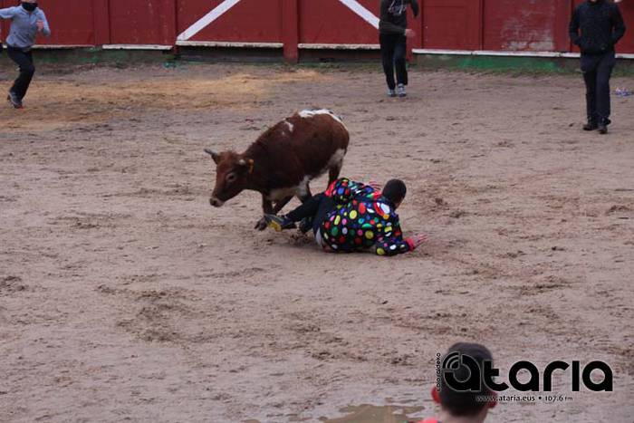 Zezen festarako gogoz 16 1518113797804