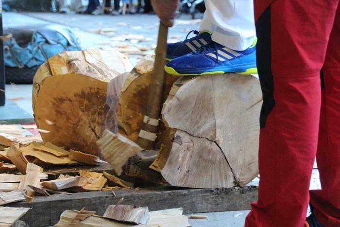 Erakustaldiz betetako arrats 2 1507489825718