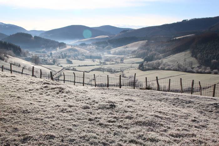 Txurituta esnatu da San Seba 17 1484957461951